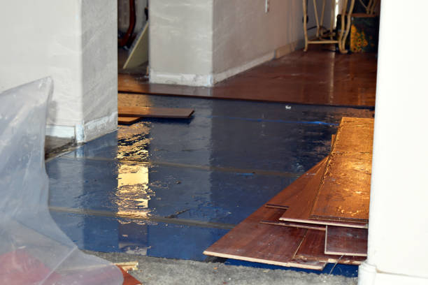 Professional Basement Flood Cleanup technician working in Courtland, MN